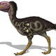 Image for article titled Newly Discovered Terror Bird Sheds Light On A Fearsome Clan
